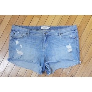 Torrid EUC shorts